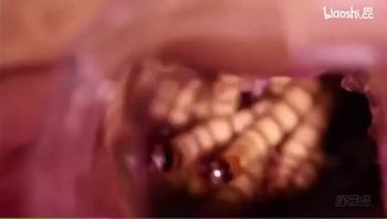 另类稀缺蛆虫交视频把骚逼扩开倒入阴道